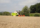 Claas Drescher 48